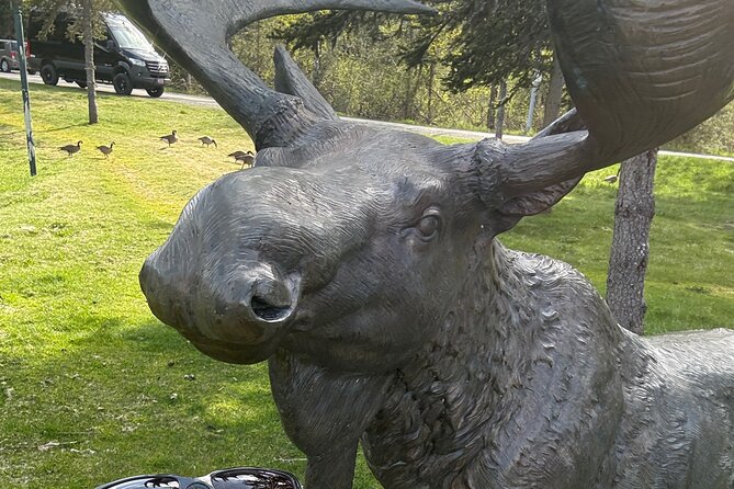 Refined Alaskan Escape: Private, Custom Journey with Local Expert - Logistics: Flexible Pick-up and Private Service