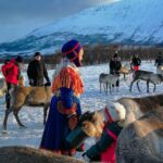 Reindeer feeding & Saami Culture - Sami Culture and Storytelling in the Lavvu