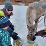 Reindeer Meet and Feed - Talkeetna - The Reindeer Feeding and Petting Experience