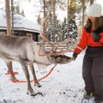 Reindeer Safari in Arctic Wilderness - Hassle-Free Transportation and Warm Clothing Provided