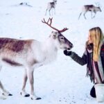Reindeer visit, and Sami Culture Including Lunch from Tromso - Location and Meeting Point in Tromsø