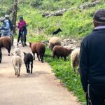 Relaxed E-bike in the backroads of Cascais and Sintra - Coastal Stops at Guincho Beach and Boca do Inferno