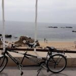 Rent a tandem bicycle - Why Renting a Tandem Bicycle Works Well in Portos Coastline and Towns