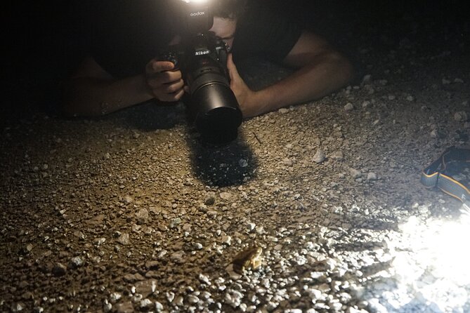 Reptile and Amphibian Night Adventure in Yucatán Jungle - Discover the Ecosystems Surrounding Puerto Morelos