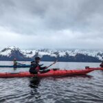 Resurrection Bay Waterfall And Rainforest Adventure - What Makes Resurrection Bay Special for Kayakers