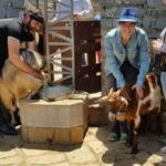 Rethymno:Mitato Shepherd Experience with Cretan Lunch & Raki - Visiting a Shepherd’s Mitato on Mount Psiloritis
