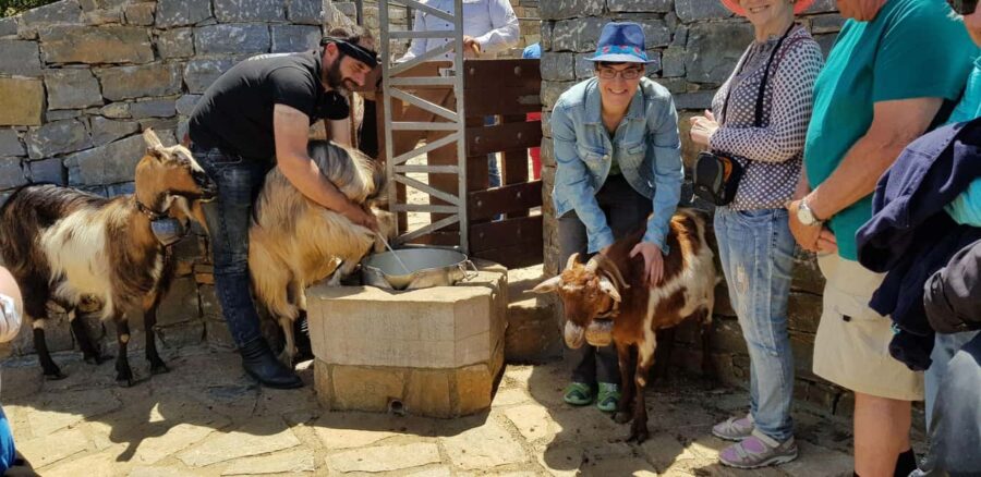Rethymno:Mitato Shepherd Experience with Cretan Lunch & Raki - Visiting a Shepherd’s Mitato on Mount Psiloritis