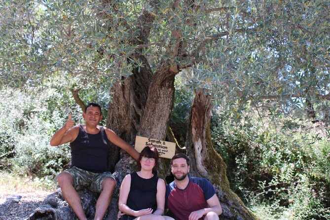 Rethymnon Olive Tree Sponsorship Protect and Plant Tour - Exclusive Access to Olive Groves and Support for Conservation