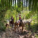 Rey Spearo - Enchanting And Romantic Custom Created Tours - Introduction to Horses and Riding Instructions