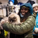 Reykjavik: Feline-Focused City Walking Tour - Exploring Ingólfur Square and Gyllti kötturinn