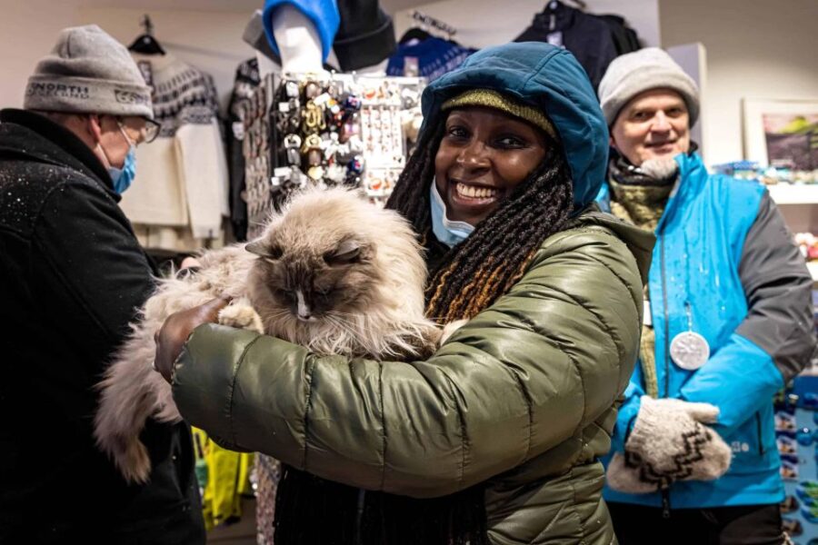 Reykjavik: Feline-Focused City Walking Tour - Exploring Ingólfur Square and Gyllti kötturinn