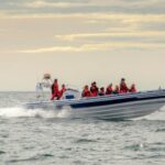 Reykjavik: Premium Whale and Puffin Watching Evening Tour - Departing from Reykjavik’s Old Harbour in Style