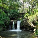 Rhodes Private Tours - The Tour Starts at Rhodes Tourist Harbor