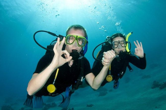 Rhodes Scuba Diving Experience - What’s Included in Your Rhodes Scuba Tour
