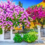 Rhodes Self Drive 4x4 Offroad Adventure with Gourmet Lunch - Tasting the Flavors of Archipoli Village