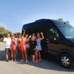 Rhodes Town and Lindos: Private Minibus Tour - From the Old Town to the Acropolis of Rhodes