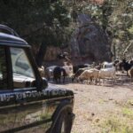 Rhodes Uncharted South Safari: Mountains, Monasteries, & Flavors - Capturing Panoramic Views at Mountain Viewpoints