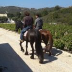 Rhodes Wine & Food Tour: 10 Meal Course Lunch, Wine Tasting, Cooking Class - Wine Tasting with a Certified Sommelier