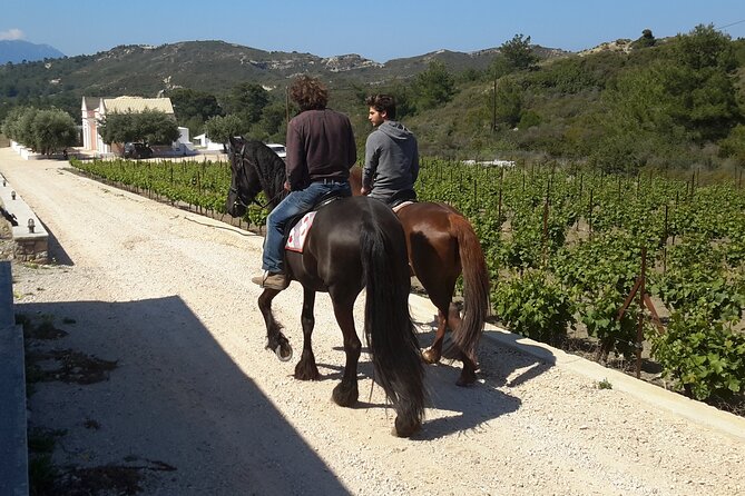 Rhodes Wine & Food Tour: 10 Meal Course Lunch, Wine Tasting, Cooking Class - Wine Tasting with a Certified Sommelier