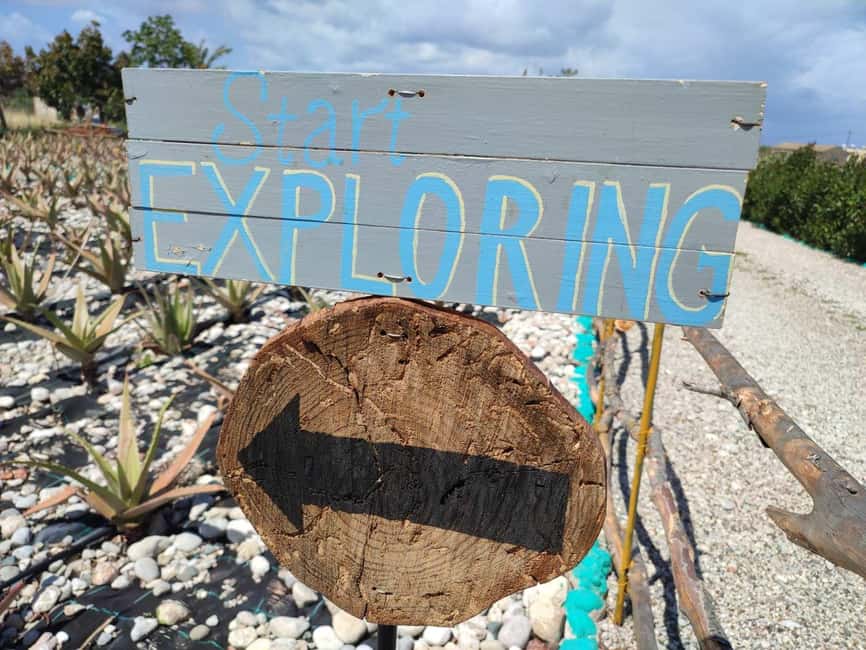 Rhodes:Explore the farm's paths & discover aloe vera & herbs - The Farm’s Location and Easy Access in Rhodes