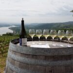 Rhône Valley Wine Tasting Private Day Tour from Lyon - Exploring the Côte-Rôtie, Saint-Joseph, and Condrieu Wineries