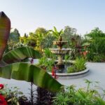 RHS Garden Wisley Entry Ticket - Opening Hours and Booking Tips