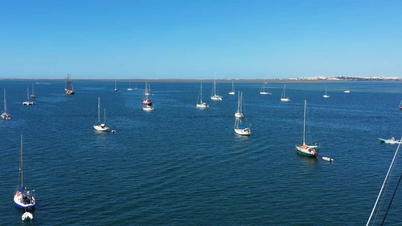 Ria Formosa: Armona and Culatra Islands 3-Hour Boat Tour - Highlights of Culatra Island and Its Sustainability Efforts