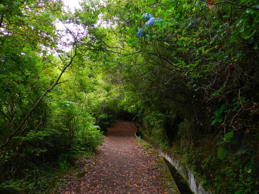 Ribeiro Frio / Portela - Levada Walk - The Famous Levada Path in Madeira