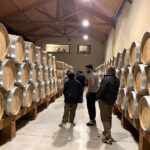 Ribera del Duero Small Group Tour: Tapas & Wine Tasting - Discovering the Ribera del Duero Region