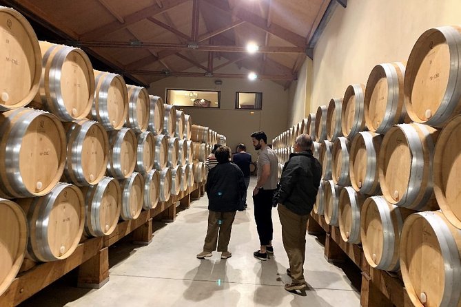 Ribera del Duero Small Group Tour: Tapas & Wine Tasting - Discovering the Ribera del Duero Region