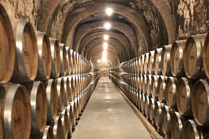 Ribera del Duero Tour: Two Wineries with Transport from Madrid - Visiting Bodegas Nabal and Its Unique Features