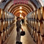 Ribera del Duero wine region private tour - Visiting a Modern, Avant-Garde Winery in Ribera del Duero