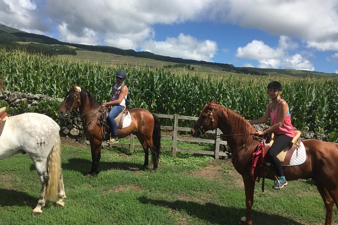 ride a volcano - go to the gardens in the woods - Riding Through Forests and the Brava Zone