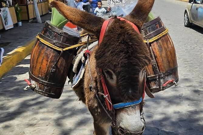 Ride Ajusco mountain trails & enjoy a ranch barbecue - Riding Through Meadows and Mountain Trails