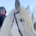 Riding Tour with Finnhorses at Santa Claus Village - The Ride Itself: Safety, Comfort, and Connection