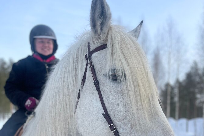 Riding Tour with Finnhorses at Santa Claus Village - The Ride Itself: Safety, Comfort, and Connection