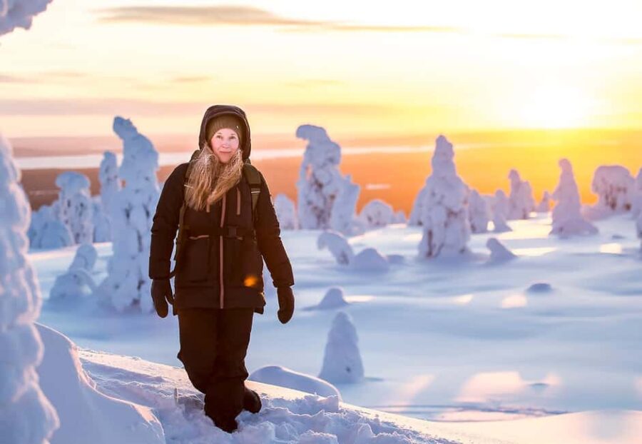 Riisitunturi National Park: Day Trip with Finnish Lapphund - How the Tour Starts: Pickup and Transfer Details