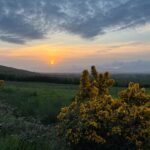 Ring of Kerry Private Tour from Killarney - The Cultural and Historical Touchpoints