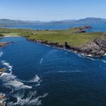 Ring Of Kerry Tour - Watching Sheepdogs in Action at Kells