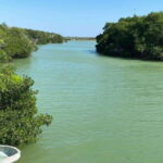 Rio Lagartos and Las Coloradas: EcoSafari Flamingo Luxury - Exclusive Access to Unique Sites in Río Lagartos