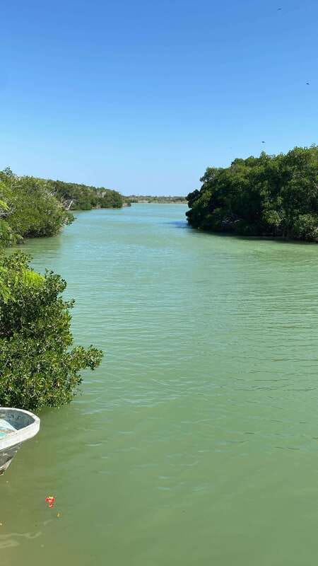 Rio Lagartos and Las Coloradas: EcoSafari Flamingo Luxury - Exclusive Access to Unique Sites in Río Lagartos