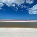 Río Lagartos and Las Coloradas: Natural Experience - Private, Eco-Friendly Experience with Local Guides