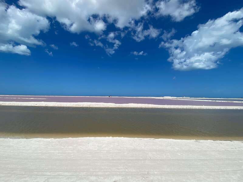 Río Lagartos and Las Coloradas: Natural Experience - Private, Eco-Friendly Experience with Local Guides