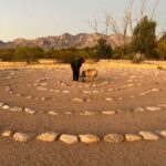 Rio Vista Park: Mindful Nature Walk with Life Coach & Dog - What Makes the Rio Vista Nature Walk Unique