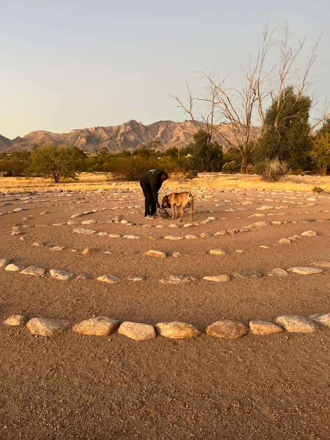 Rio Vista Park: Mindful Nature Walk with Life Coach & Dog - What Makes the Rio Vista Nature Walk Unique
