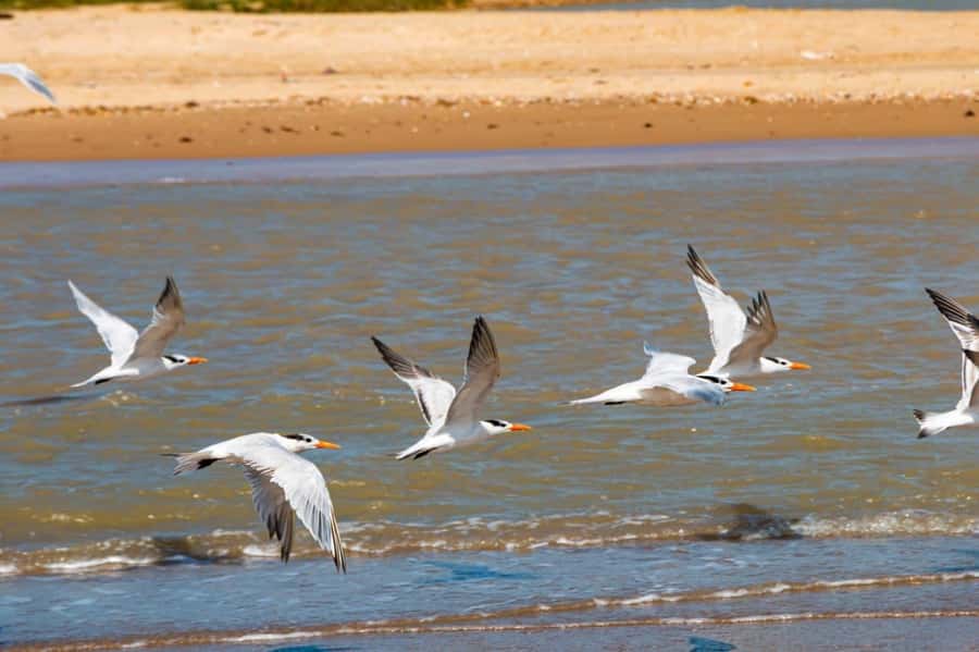 Riohacha: Cabo de la Vela & Punta Gallinas 4-Day Tour - Starting Point: Riohacha and the Journey to Camarones