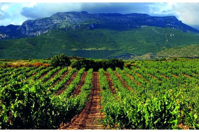 Rioja Alavesa Wineries and Medieval Villages Day Trip - Visiting Multiple Wineries in Rioja Alavesa