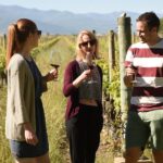 Rioja Alta and Rioja Alavesa Wine Tour - The Charm of Small, Family-Run Wineries