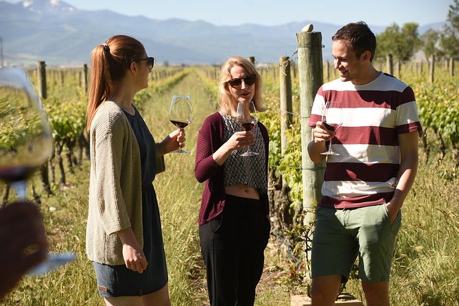 Rioja Alta and Rioja Alavesa Wine Tour - The Charm of Small, Family-Run Wineries