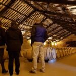 Rioja Full Experience Tour from San Sebastian with Lunch - Second Winery Visit: Unique and Singular Wines